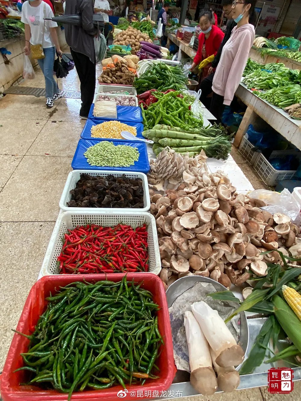 “昆明盘龙发布”微博