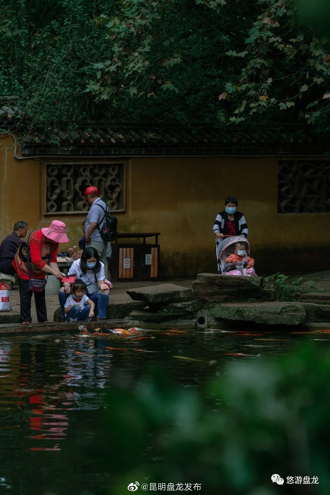 “昆明盘龙发布”微博