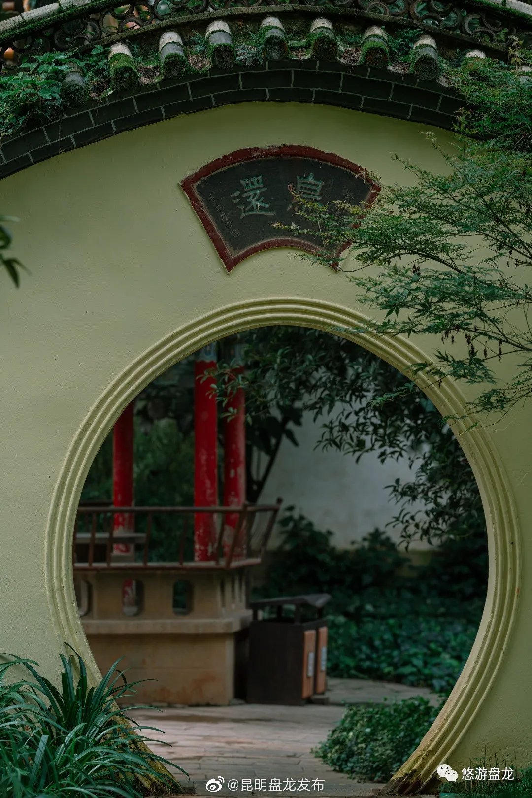 “昆明盘龙发布”微博