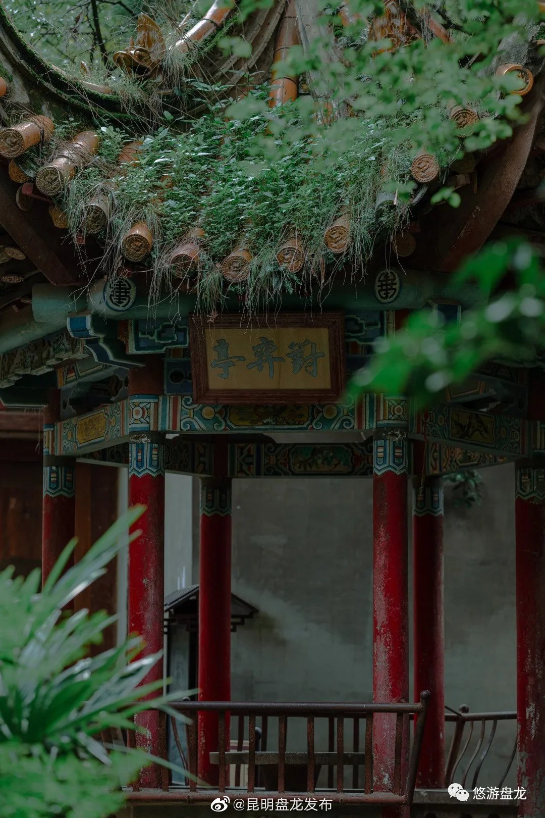 “昆明盘龙发布”微博