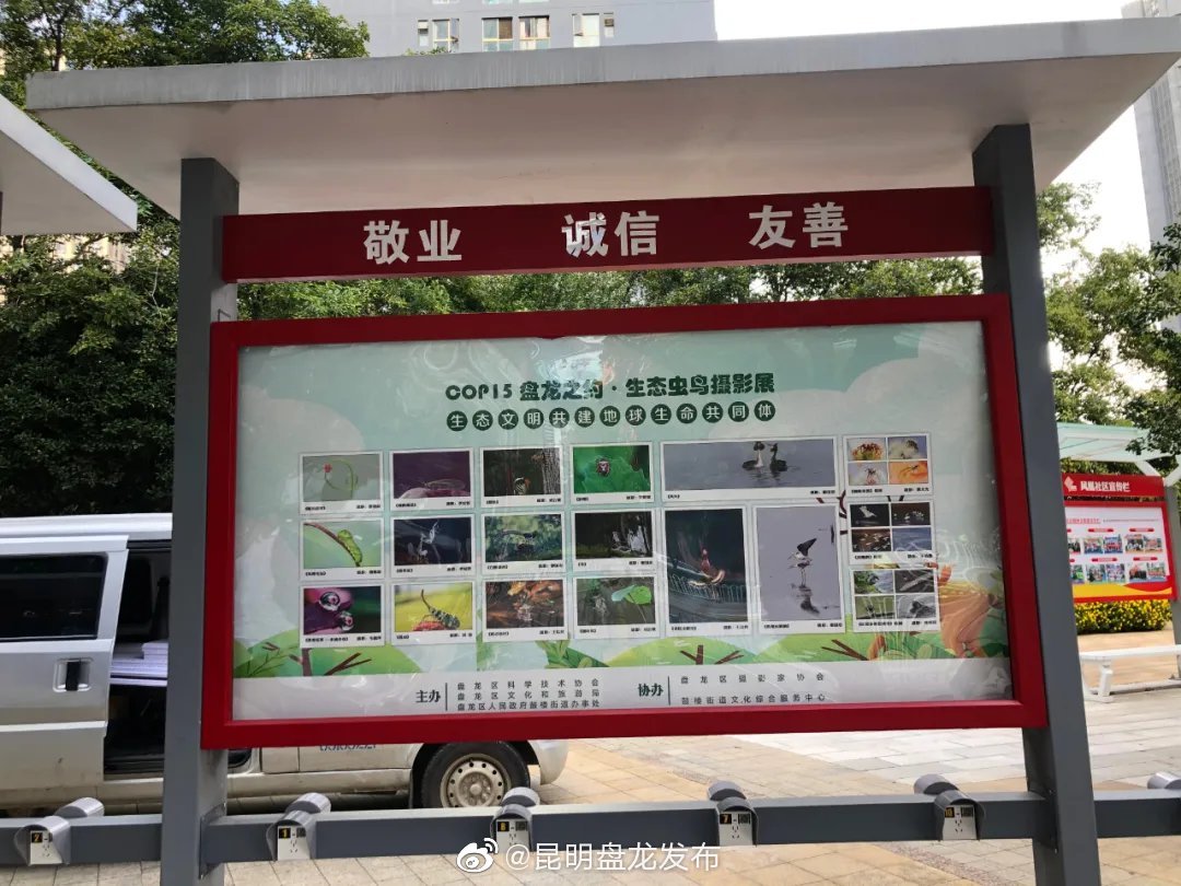 “昆明盘龙发布”微博