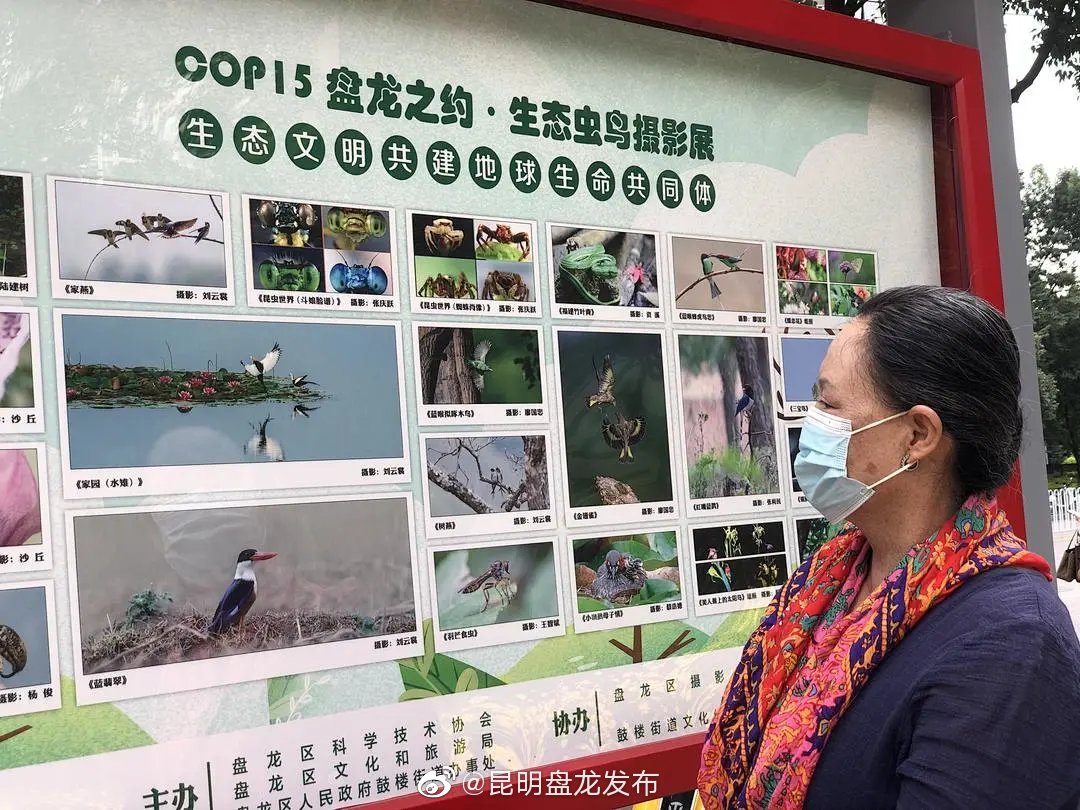 “昆明盘龙发布”微博