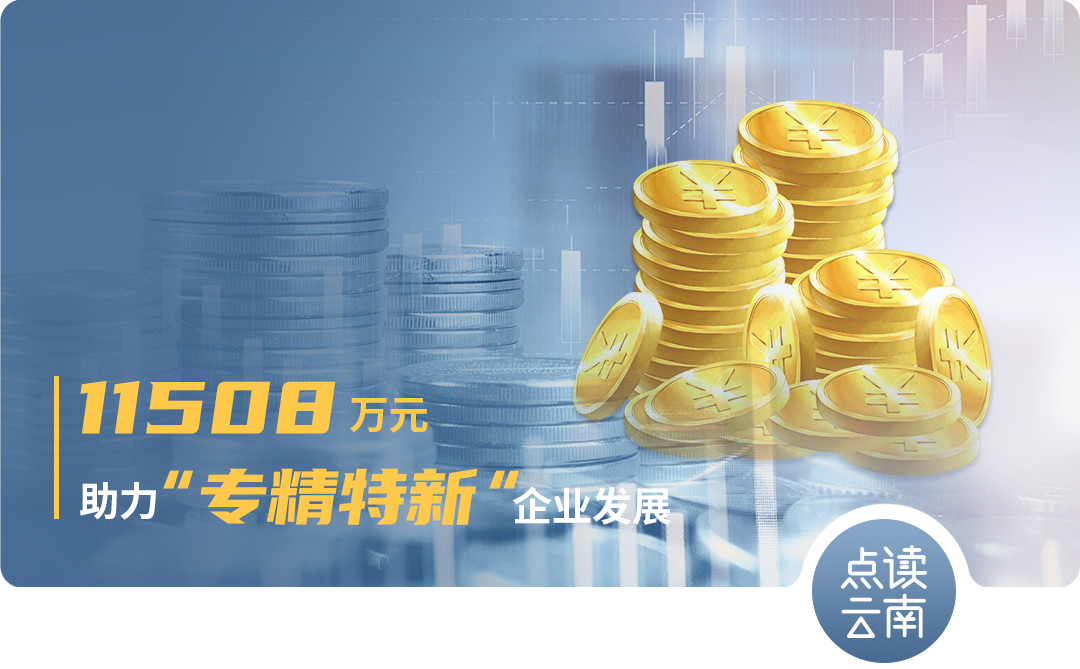 云南省人民政府网