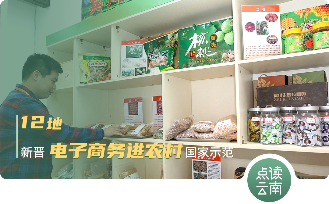 云南省人民政府网