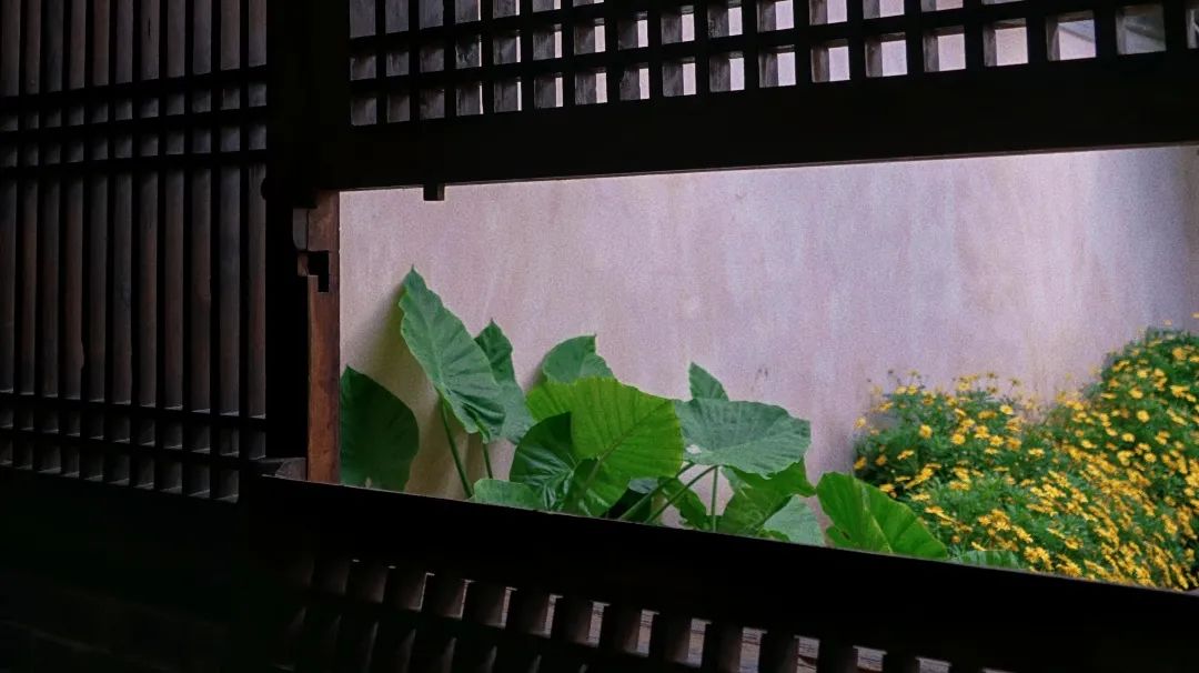 红河文旅(微信)