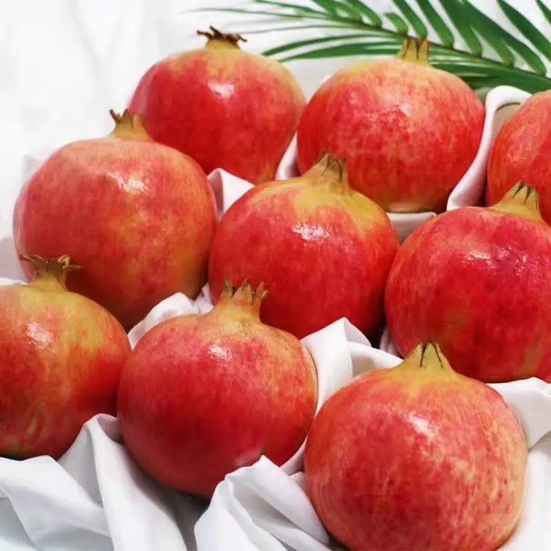 丽江日报(微信)