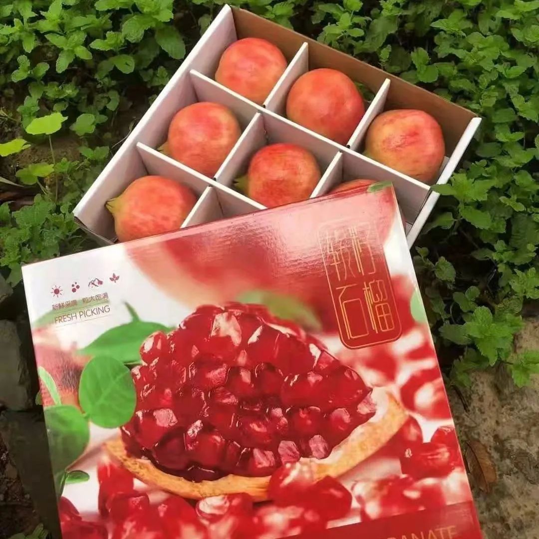 丽江日报(微信)