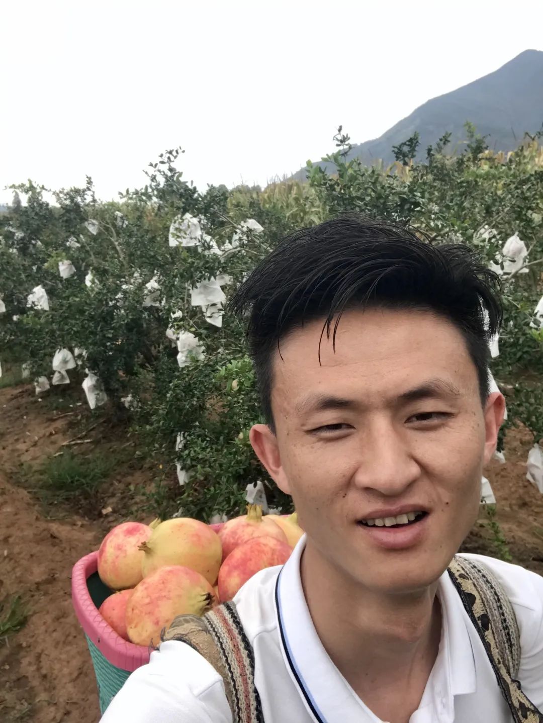 丽江日报(微信)