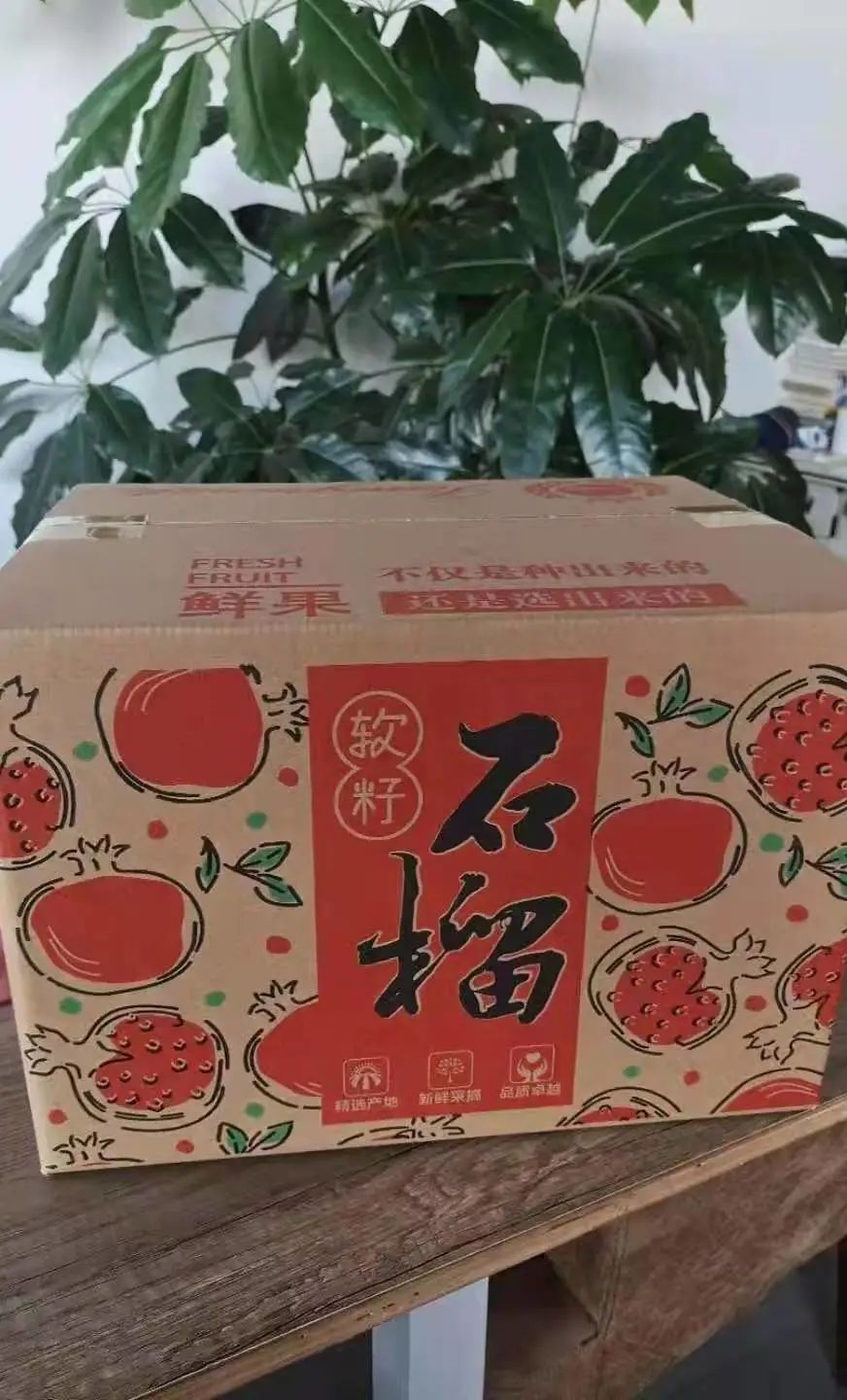 丽江日报(微信)