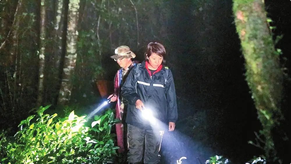 丽江日报(微信)