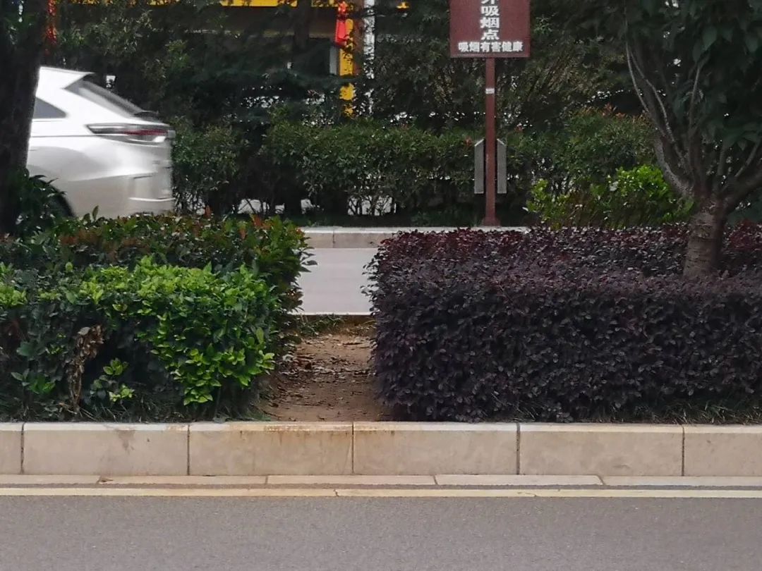 昭通日报(微信)