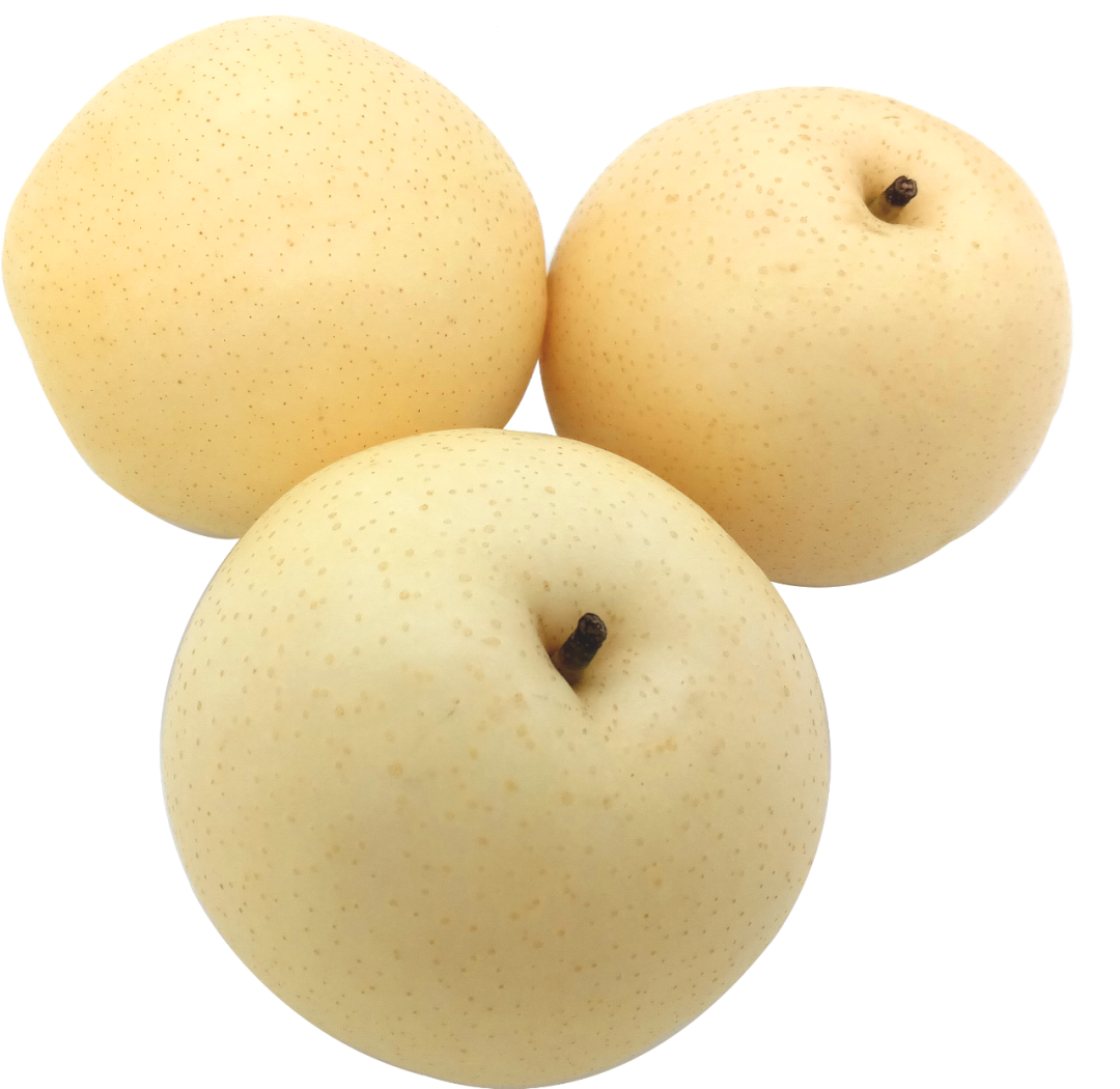 云南中医药大学第二附属医院(微信)