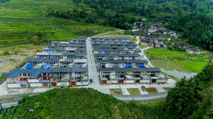 云南省人民政府网