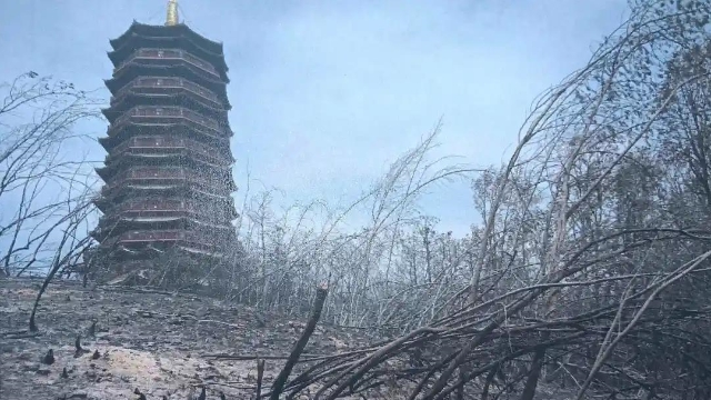 春城晚报(微信)