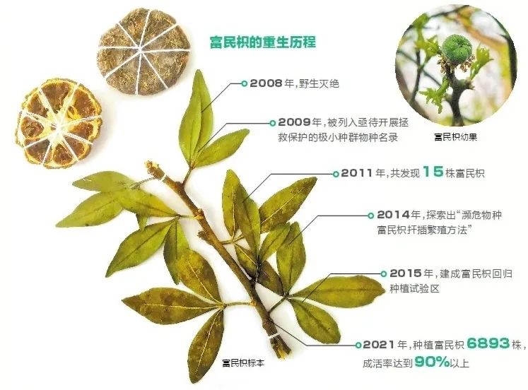 昆明发布(微信)