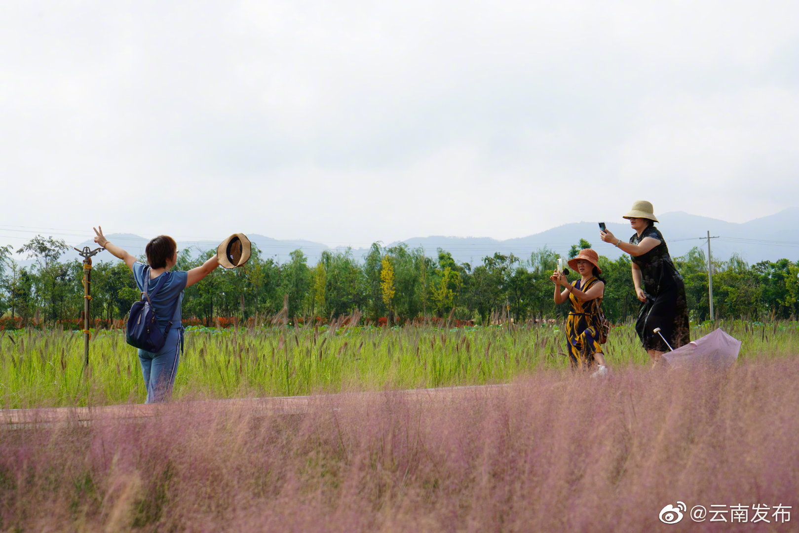 “云南发布”微博