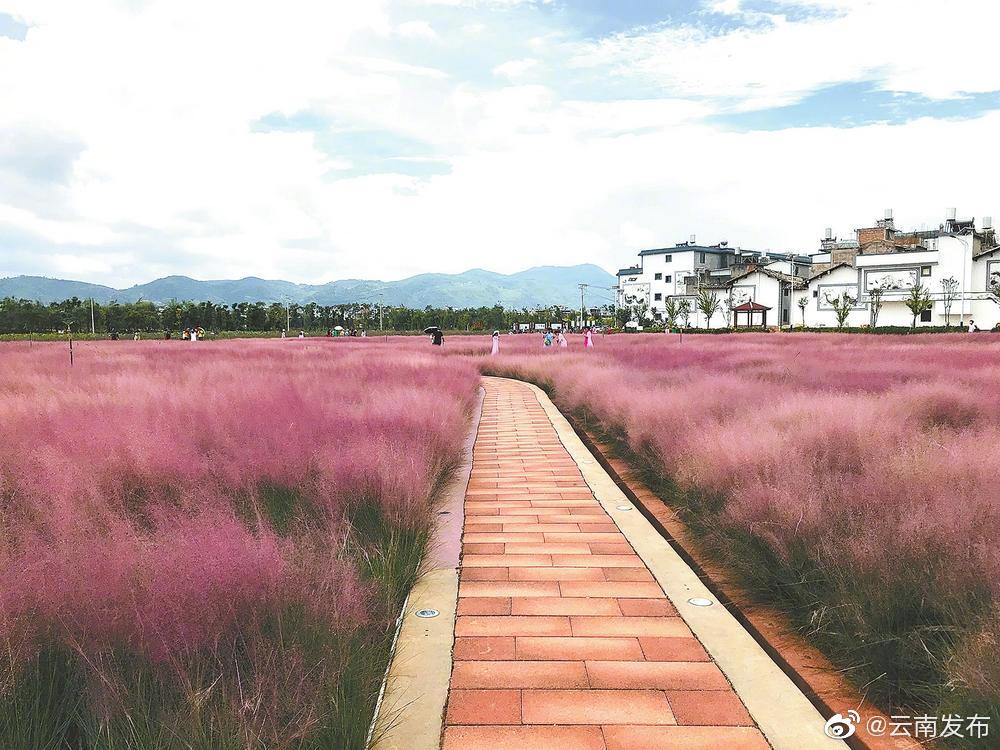 “云南发布”微博