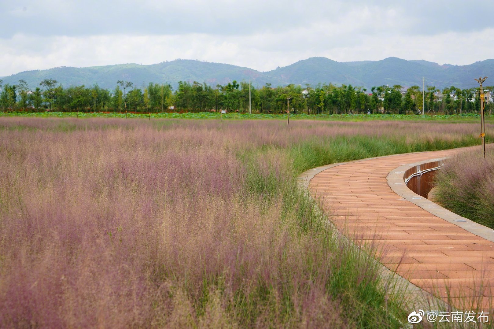 “云南发布”微博