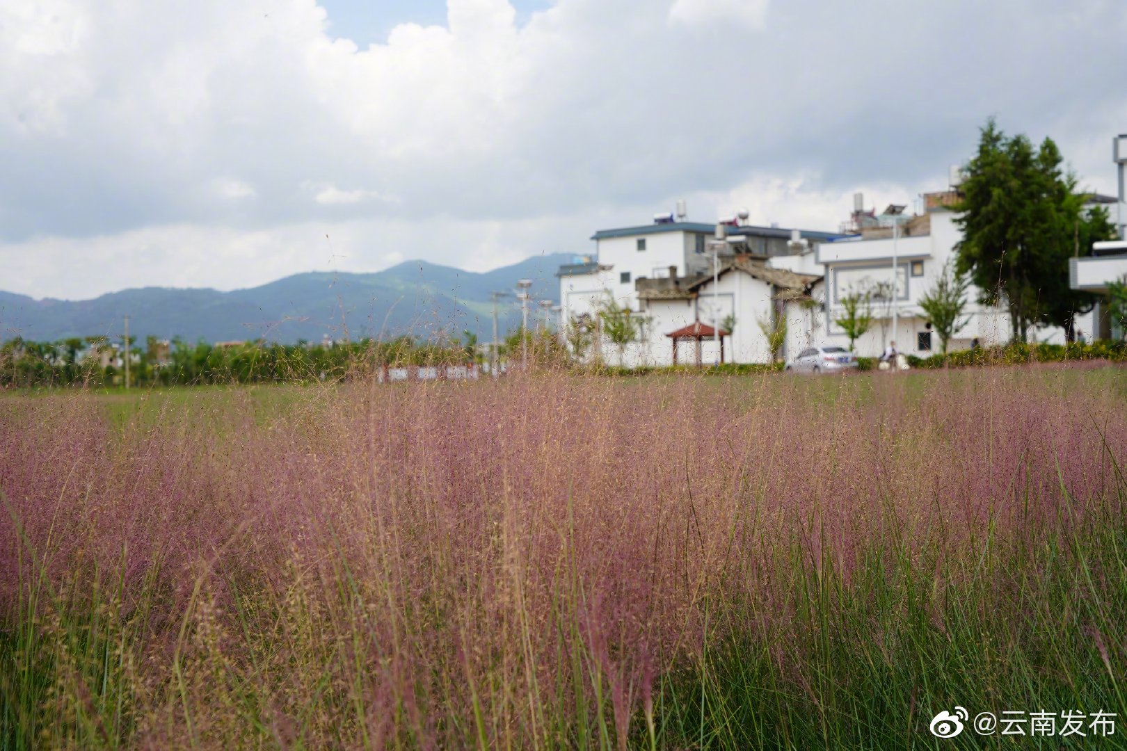 “云南发布”微博