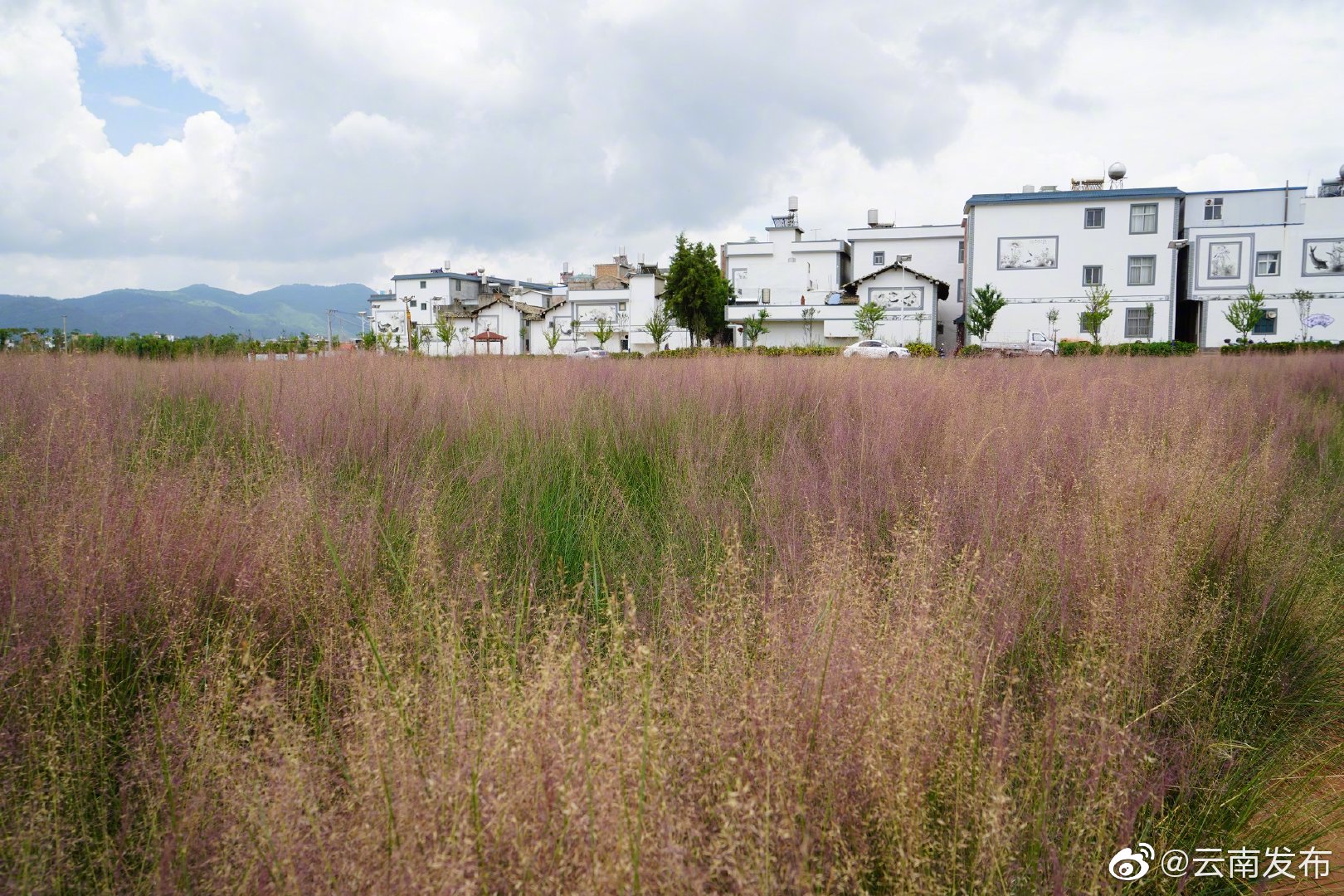 “云南发布”微博