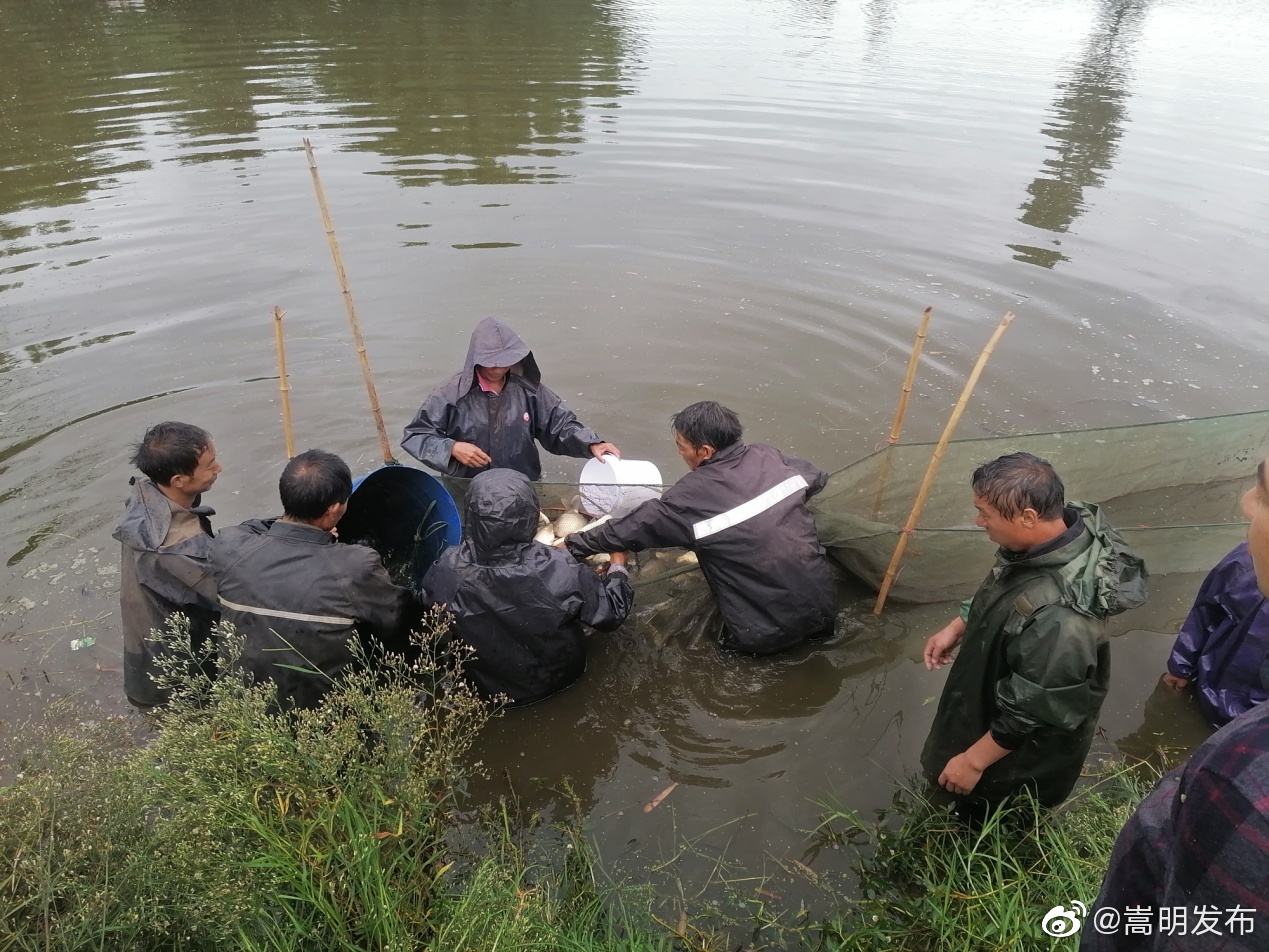 县农业农村局开展水产品质量安全场地例行抽查