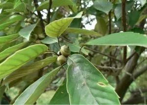 云南广播电视台(微信)