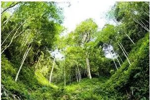 云南广播电视台(微信)