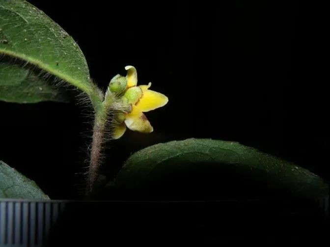 云南广播电视台(微信)