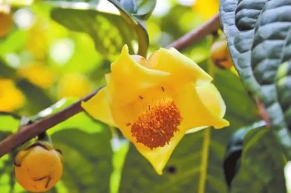 云南广播电视台(微信)