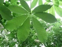 云南广播电视台(微信)