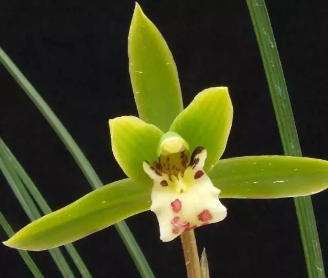 云南广播电视台(微信)