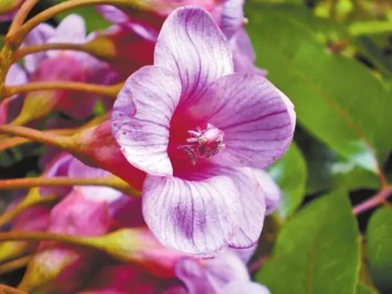 云南广播电视台(微信)