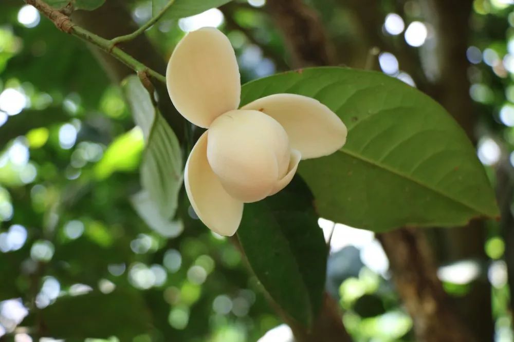 云南广播电视台(微信)