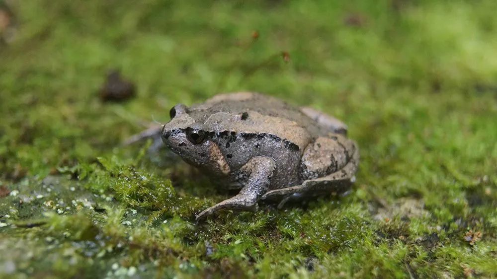 云南广播电视台(微信)
