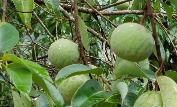 云南广播电视台(微信)