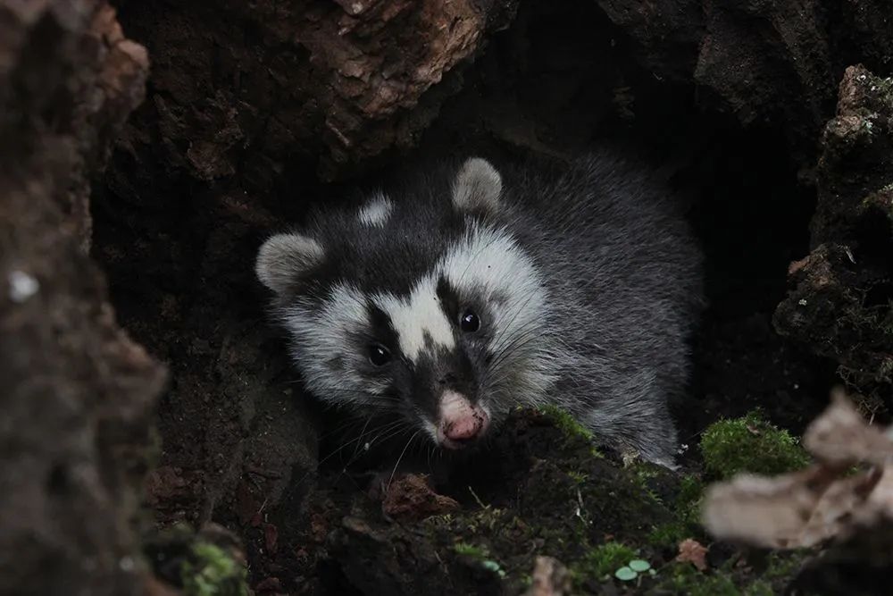 云南广播电视台(微信)