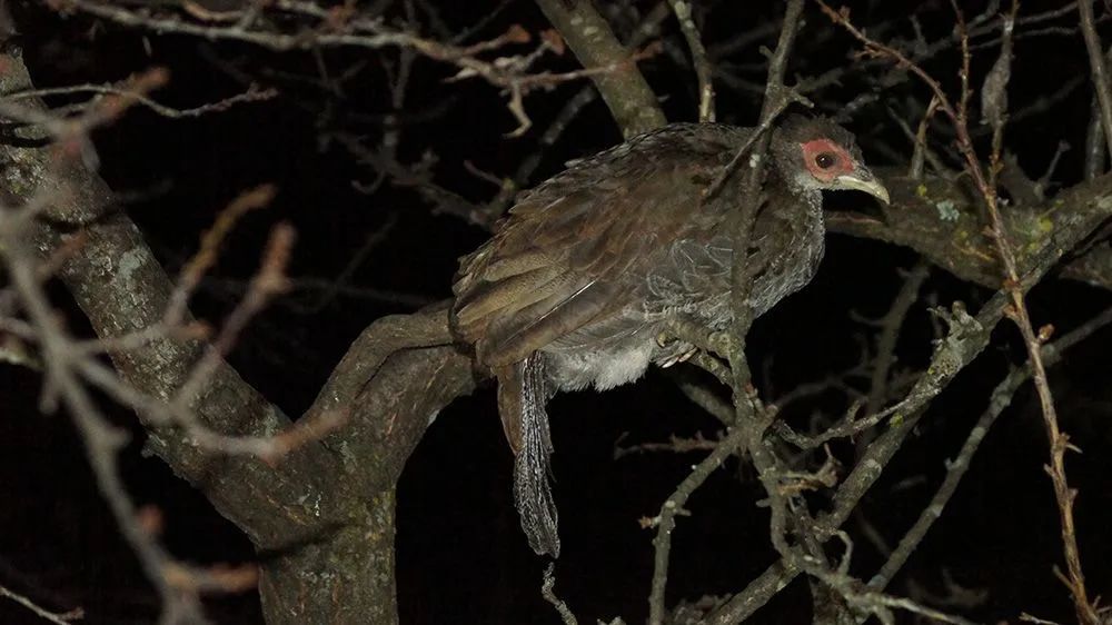 云南广播电视台(微信)