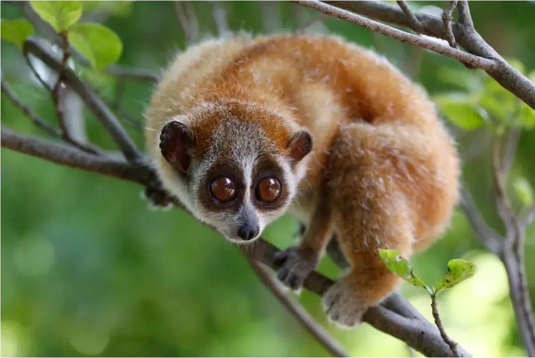 云南广播电视台(微信)