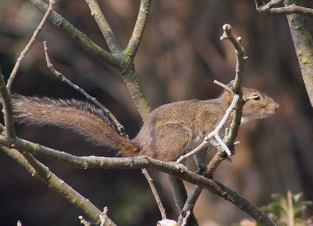 云南广播电视台(微信)