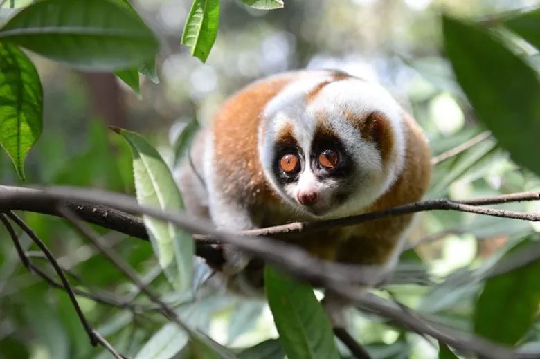 云南广播电视台(微信)