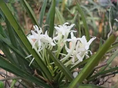 云南广播电视台(微信)