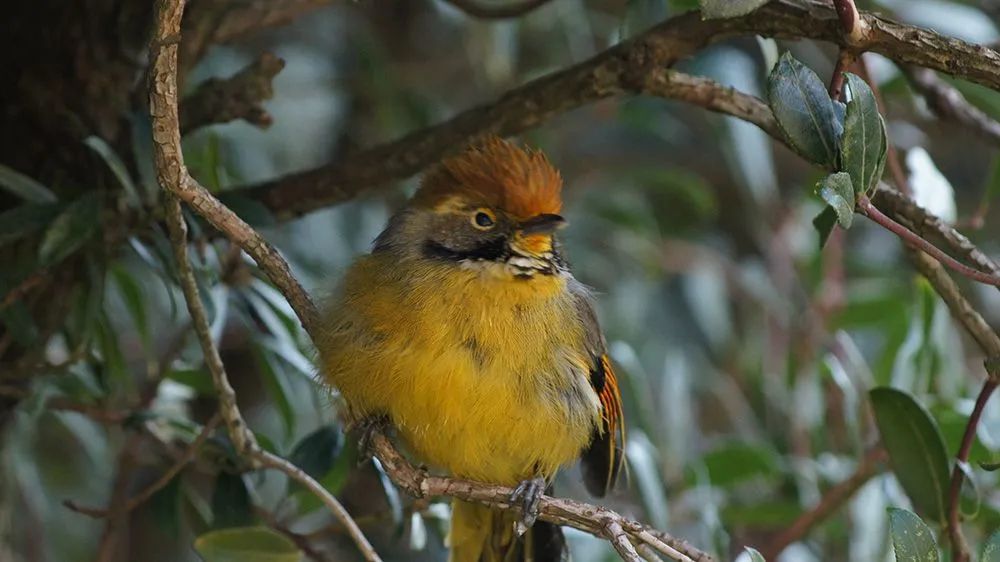 云南广播电视台(微信)
