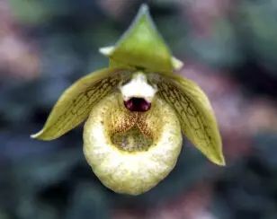 云南广播电视台(微信)