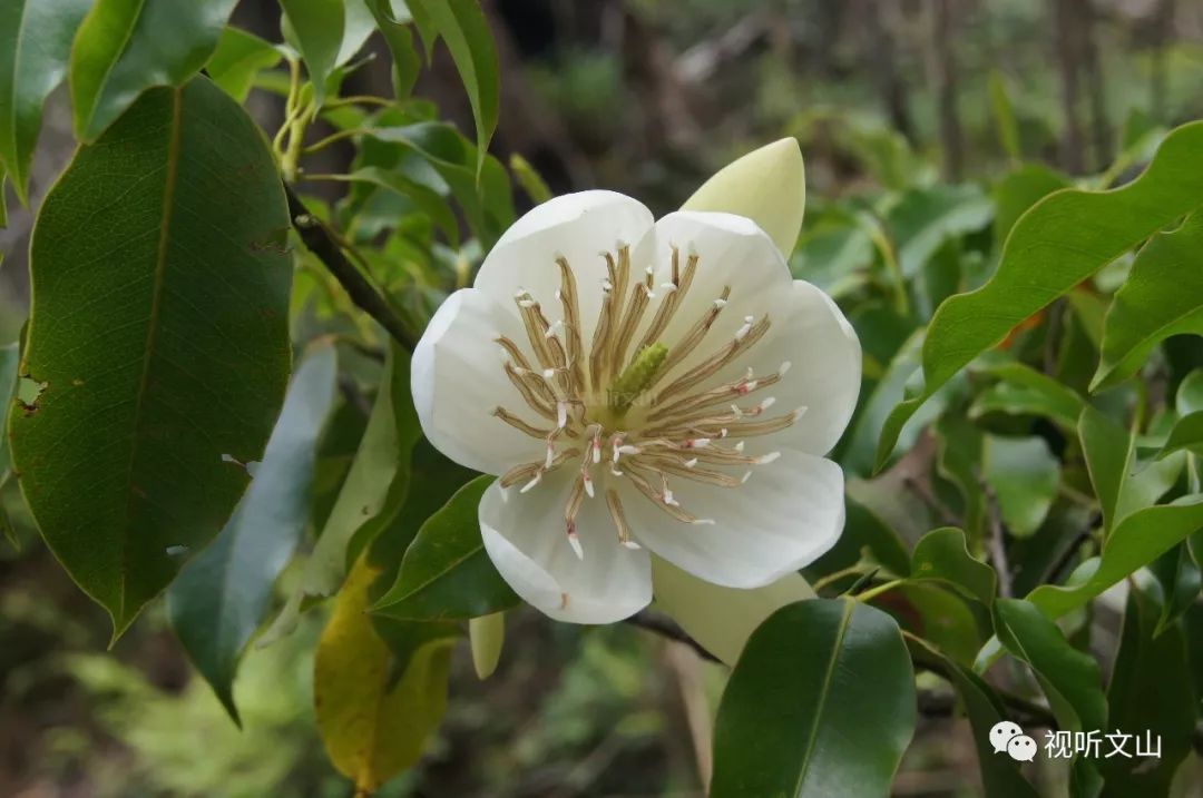 云南广播电视台(微信)