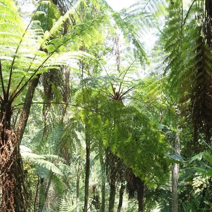 云南广播电视台(微信)