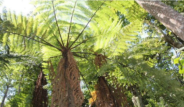 云南广播电视台(微信)