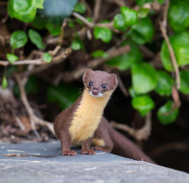 云南广播电视台(微信)