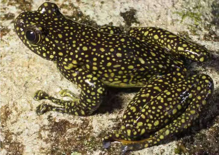 云南广播电视台(微信)