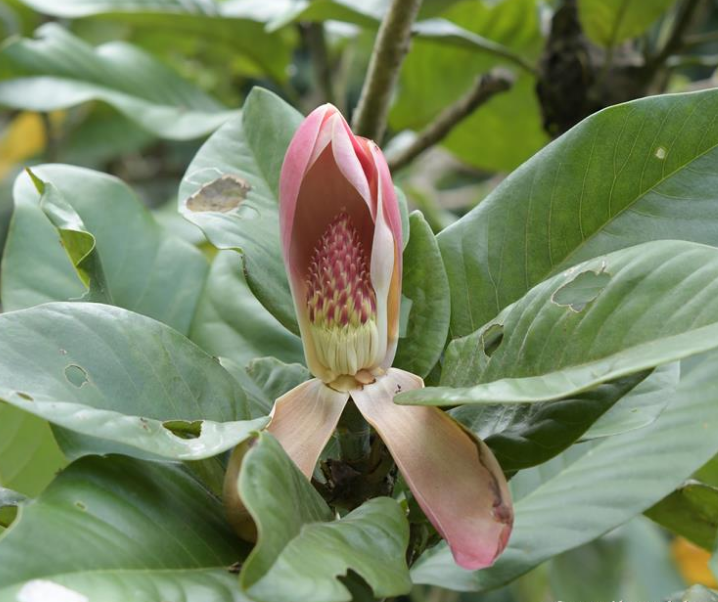 云南广播电视台(微信)