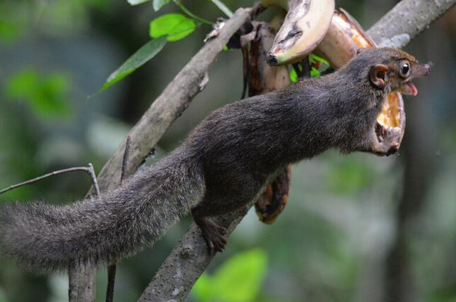 云南广播电视台(微信)